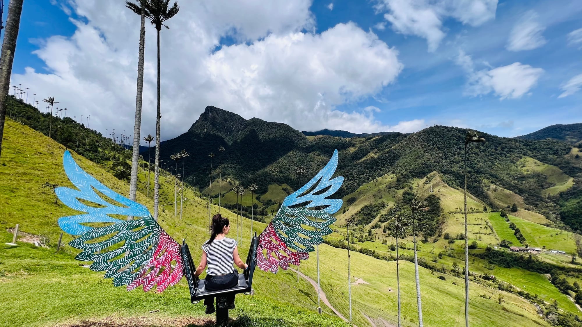 可可拉山谷 · 云雾森林景观